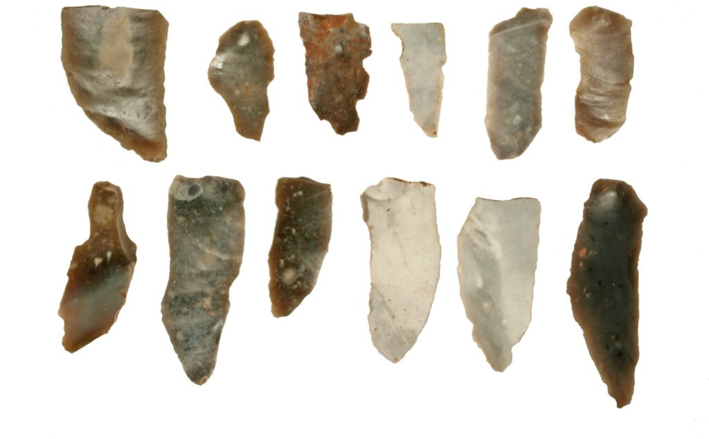 Mesolithic Age to early Neolithic Age microliths