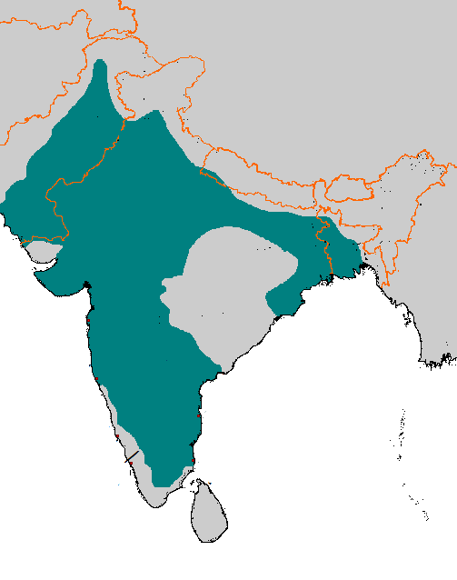 Tughlaq Dynesty Map